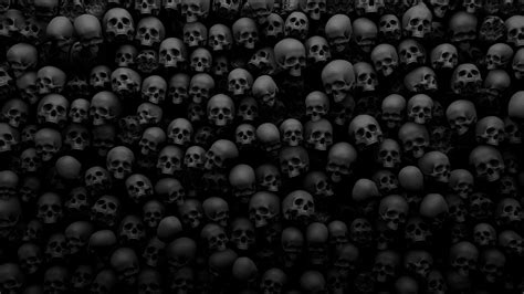 A Large Group Of Skulls Are Shown In Black And White As Well As The