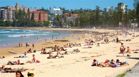 travel manly best of manly visit sydney expedia tourism