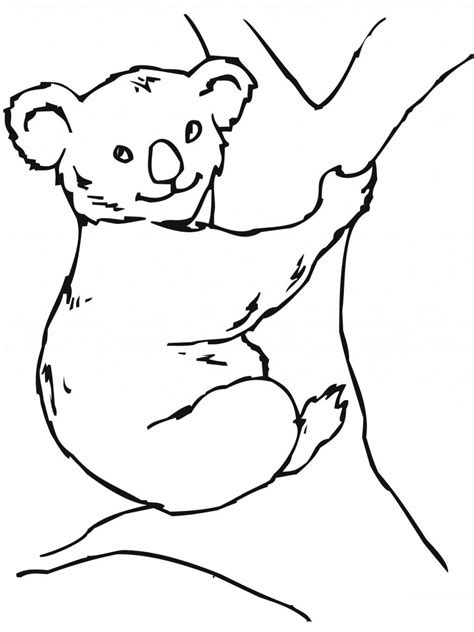 77 Dessins De Coloriage Koala à Imprimer Sur Page 3