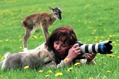 Being A Wildlife Photographer Is Basically To Become One With The