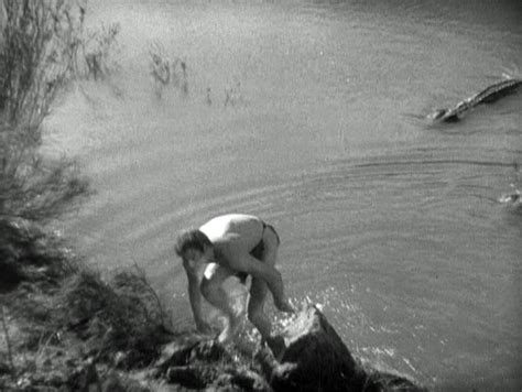 Opening to tarzan, the ape man (1981) on cinemax (11/23/1983). Tarzan the Ape Man (1932)