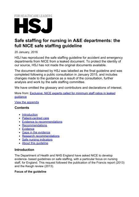 Safe Nurse Staffing Ae Guideline Final