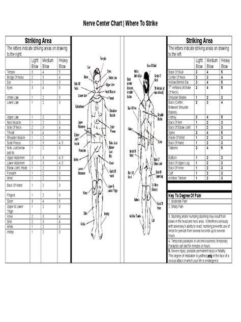acupressure  massage chart   templates