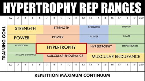 Should I Do Three Sets Of 8 Reps For Hypertrophy Reps Set