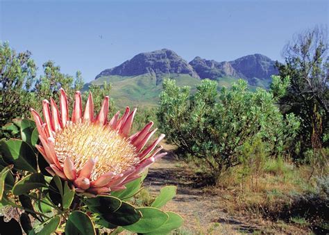 Visit Cape Town South Africa Tailor Made Trips Audley Travel Uk