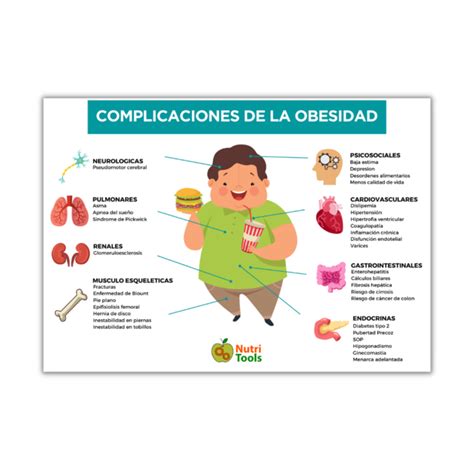 Infograf A Patolog As Relacionadas A La Obesidad