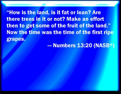 Numbers 13:20 And what the land is, whether it be fat or lean, whether there be wood therein, or 