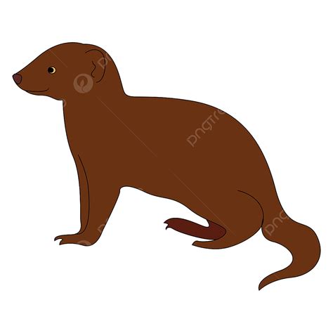Mongoose Clipart Hd Png Happy Mongoose Illustration Vector On White