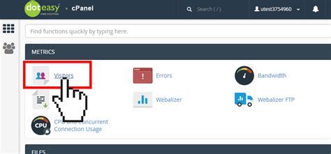 Understanding The Visitors Metrics In CPanel Doteasy Web Hosting Canada