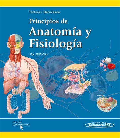 Principios De Anatomía Y Fisiología Autores Gerard J Tortora Bryan