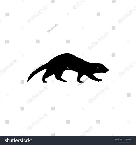 Weasel Silhouette Vector Best Weasel Icon Stock Vector Royalty Free