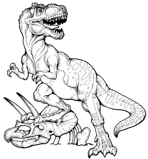 Disegni Da Colorare Dinosauri T Rex E Disegnare Un Dinosauro T Rex