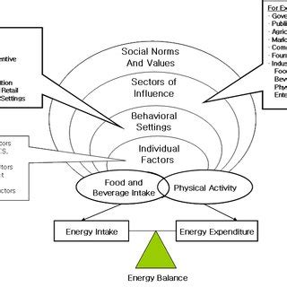 Cdc Division Of Nutrition Physical Activity And Obesity State