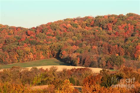Autumn Color On Rolling Hills Photograph By Adam Long Fine Art America