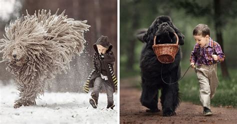 Photographer Takes Pictures Of Huge Dogs Playing With