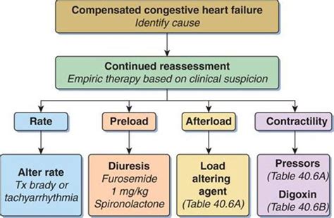 Congestive Heart Failure Cardiovascular Emergencies Strange And