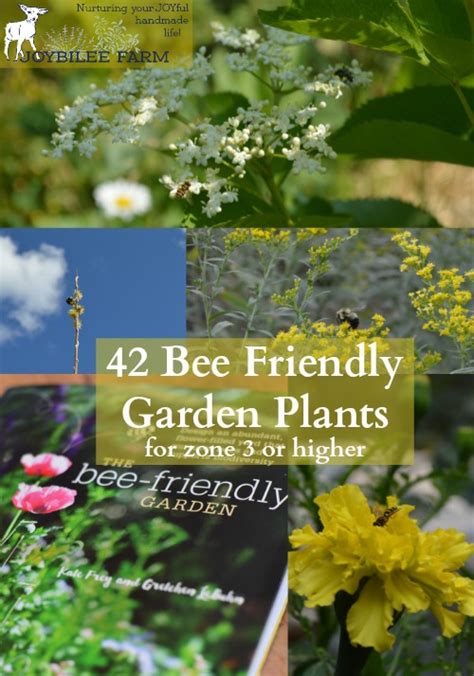42 Bee Friendly Garden Plants For Zone 3 Or Higher