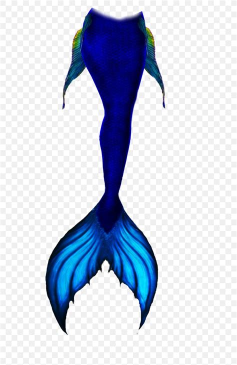 Mermaid Tail Drawing Sketch Png 632x1264px Mermaid Art Concept Art