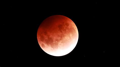 Blood Moon Lunar Eclipse Brings A Rare Selenelion On Nov 8 Space