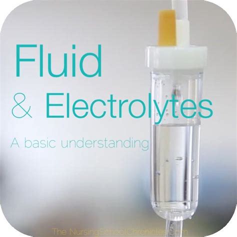 Fluid And Electrolytes A Basic Understanding Fluid And Electrolytes
