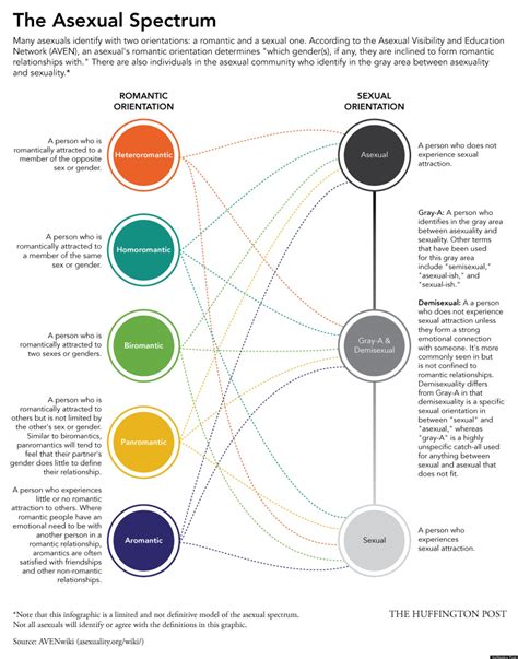 the asexual spectrum identities in the ace community infographic huffpost