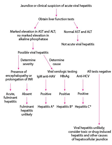 Asl 2017 clinical practice guidelines on the management of hepatitis b virus infection. Overview of Acute Viral Hepatitis - Hepatic and Biliary ...