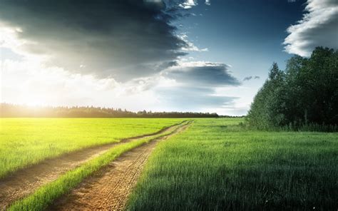Nature Road Fields Soil Scenery Grass 1080p Brown Clouds Trees