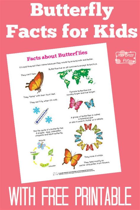 Fun Butterfly Facts For Kids With Free Printables Butterfly Facts For