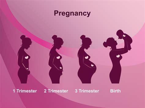 Pregnancy Specialist Maitland Fl Premier Obstetrics And Gynecology