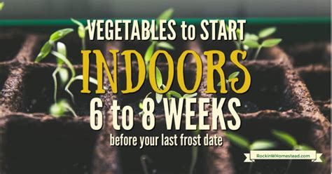 Our frost date calculator will tell you precisely when your garden in vancouver, wa is at risk for frost. What to Plant Indoors 6 to 8 Weeks Before Your Last Frost ...