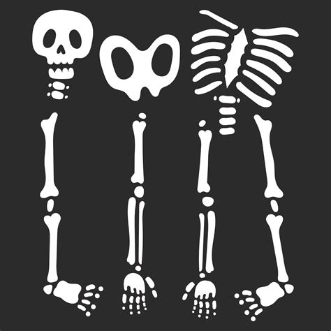 8 Best Images Of Halloween Printable Skeleton Parts Printable