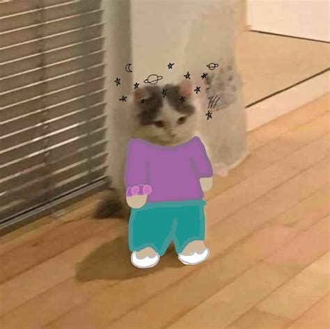 Standing Cat Meme Template Printable Templates Free