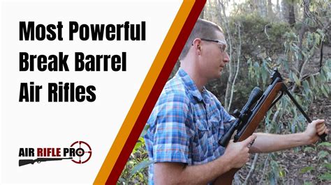 Most Powerful Break Barrel Air Rifle Reviews 22 And 177 Cal Air