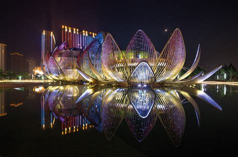 The Lotus Building And Peoples Park Studio505 Archdaily