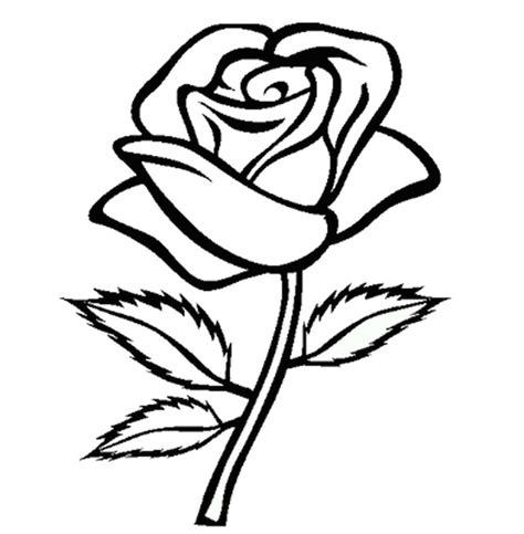 Desene Cu Trandafiri De Colorat Imagini I Plan E De Colorat Cu Trandafiri