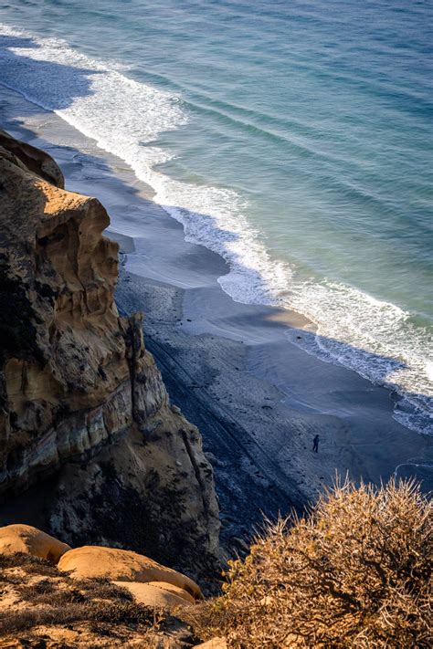 The city of san diego is proud to announce torrey pines golf course as the future site of the 2021 u.s. ITAP of Torrey Pines State Natural Reserve in San Diego California | San, Nature, San diego ...
