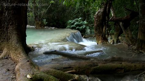 Waterfall And Jungle Sounds 4 Relaxing Tropical Rainforest