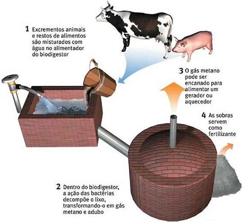 Jonnathan Parches QUE ES UN BIODEJESTOR