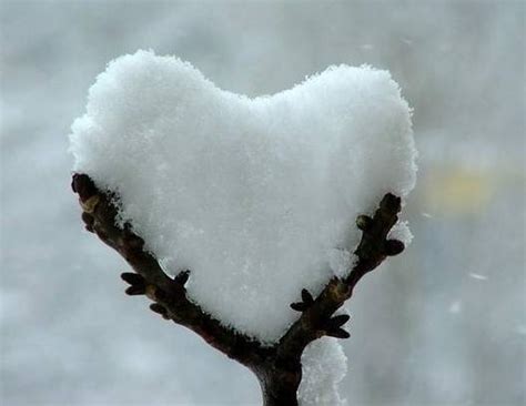 Valentines Wallpaper Heart Of Snow Wallpaper White Snow