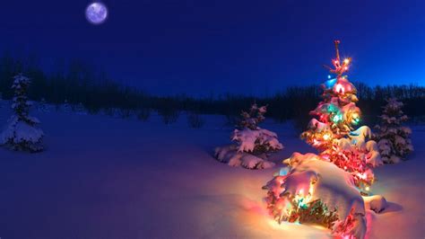 Free Download 1366x768 Christmas Tree In The Snow Desktop Pc And Mac