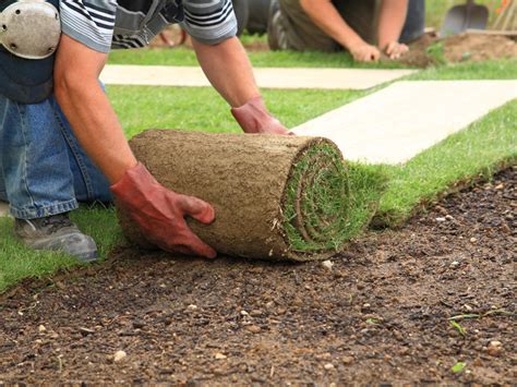 Landscape Maintenance Lawn Care Program Lawn Aeration Seeing Services Haymarket Warrenton