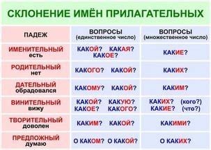 Какие вопросы у падежей в русском языке?