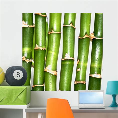 Bamboo Wall Mural By Wallmonkeys Peel And Stick Graphic 36 In W X 35