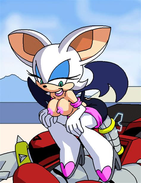 Sonic The Hedgehog Porn  Animated Rule 34 Animated