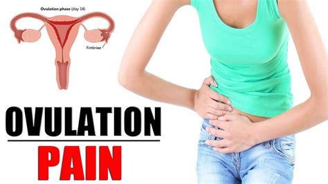 Ovulation Pain Mittelschmerz Cause Symptoms Treatment