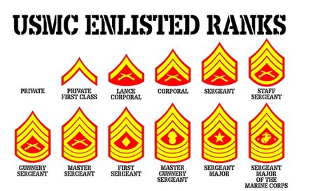 Usmc Marine Corps Enlisted Ranks Images And Photos Finder
