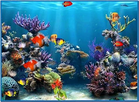 Coral Reef 3d Screensaver Download Screensaversbiz