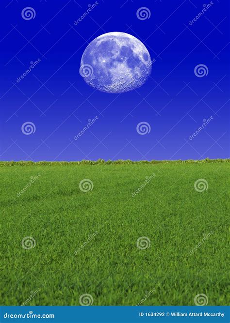 Moon And Sky And Grass Stock Photo Image Of Landscape 1634292