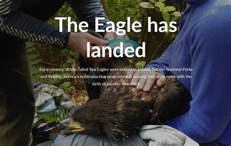 New Eagle Blog Glengarriff Nature Reserve