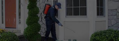 If you are seeing hundreds of spiders in your home it is time to call pointe pest control. Wilsonville - Pest Killers